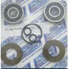 Kit réparation de turbine WSM kawasaki 650/800