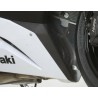 Grille de collecteur R&G RACING vert Kawasaki Ninja ZX-6R