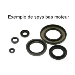 Jeu de joints spi moteur...