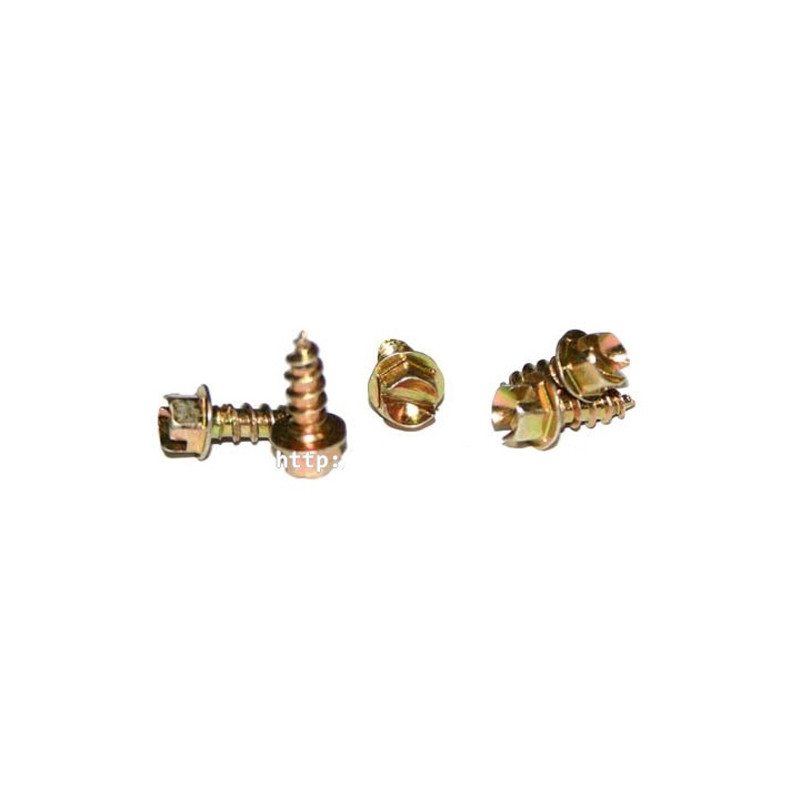 Clou à Glace à Visser 15.9mm² par 100