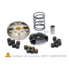Variateur NG Top Racing CPI Hussar,Oliver,Popcorn 50