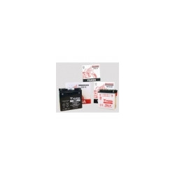 Batterie YB30LB Yuasa