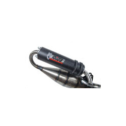 Pot 50 cm3 MIVV Scooter Kymco