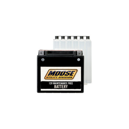Batterie MTX30L-BS
