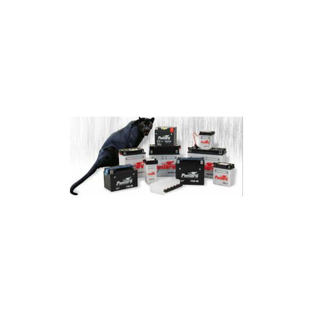 Batterie YB12AL-A