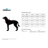Gilet De Sauvetage Pour Animaux de Compagnie Slippery