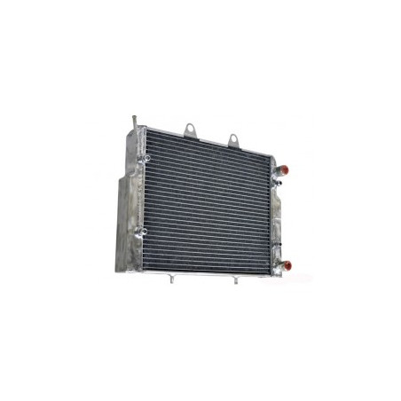 Radiateur RZR Racing Grande Capacité RZRS 900 Polaris