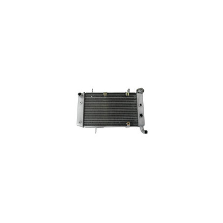 Radiateur Capacité d'Origine 400 KFX Kawasaki
