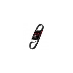 Courroies Super Renforcées Dayco XTX  RZR 800 Polaris