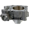 Cylindre Moteur Moose RZR 800 Polaris 2008 à 2014