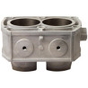 Cylindre Standard Cylinder Works RZR 800 de 2008 à 2014 Polaris