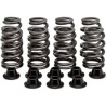 Kit Ressorts De Soupapes RZR 1000 XP Polaris