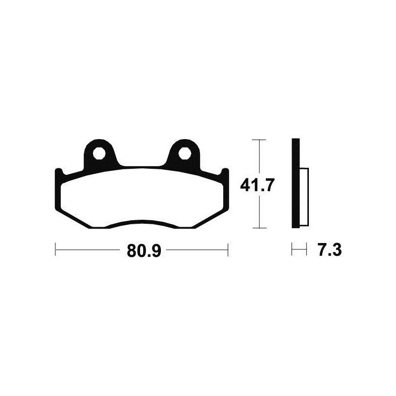 Plaquettes de Frein Arrière Honda TRX 250 R Quad