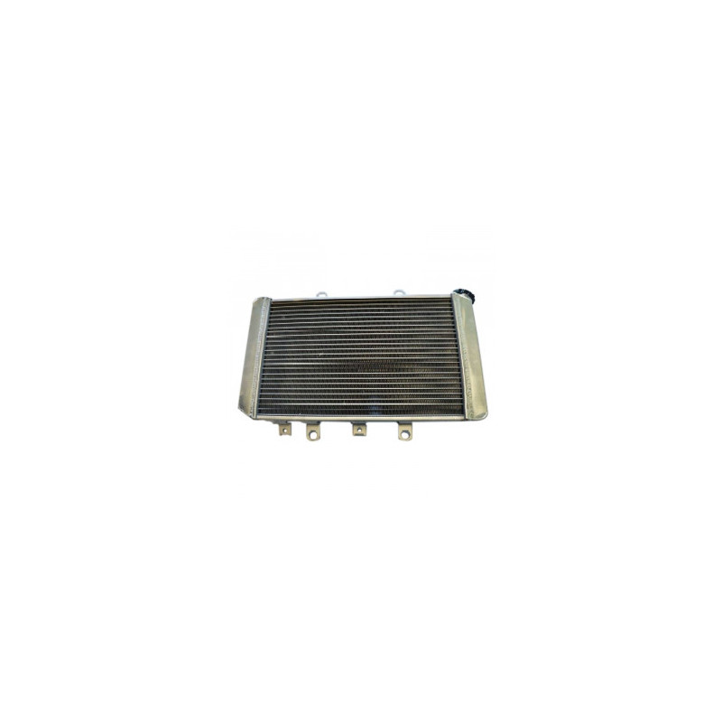 Radiateur Compétition IROD RZR 800 Polaris 2007 à 2011