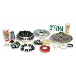 Variateur MALOSSI Over...