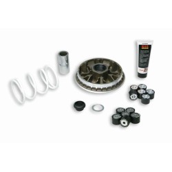 Variateur MALOSSI Multivar...