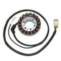 Stator ELECTROSPORT -...
