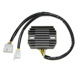 Régulateur ELECTROSPORT -...