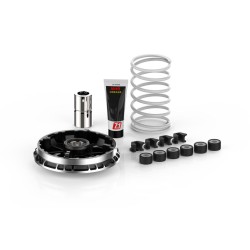 Variateur MALOSSI Multivar...