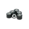 Jeu de galets MALOSSI 20x14,8 9,5g - 6 pièces