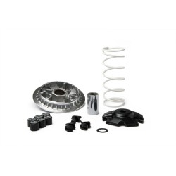 Variateur MALOSSI Multivar...