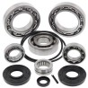 Kit roulements & joints de différentiel arrière ALL BALLS Kawasaki KRF TERYX 750