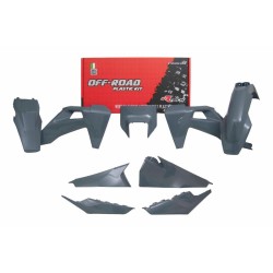 Kit plastiques RACETECH...