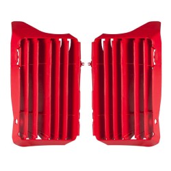 Ouïes de radiateur RACETECH...