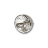Phare SHIN YO Reno 2 7"  chrome verre clair