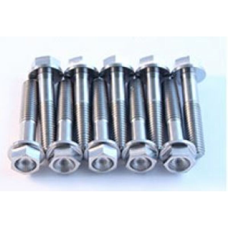 Kit vis titane SCAR pour té de fourche ACS