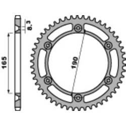Couronne PBR acier standard...